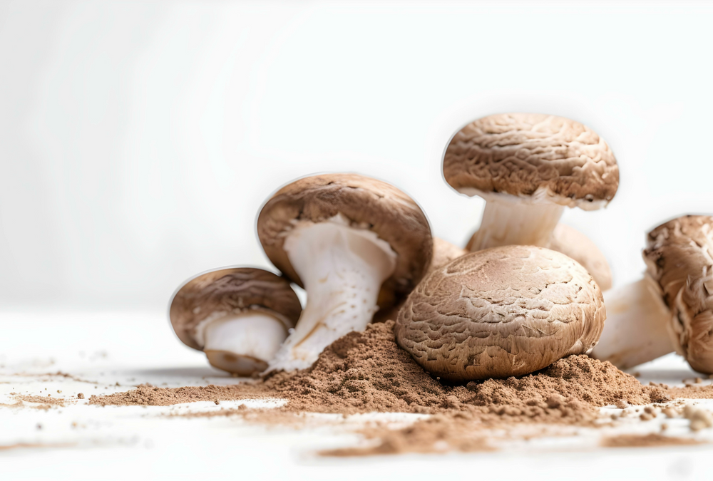 At a glance: Functional mushrooms