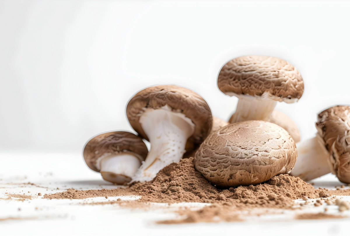 At a glance: Functional mushrooms