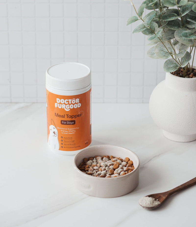 Dog Meal Topper