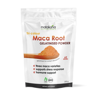 Maca Root Gelatinised Powder